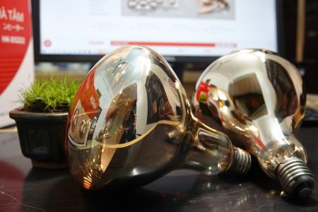 Bóng đèn sưởi nhà tắm HAKEN Model PKGS0001