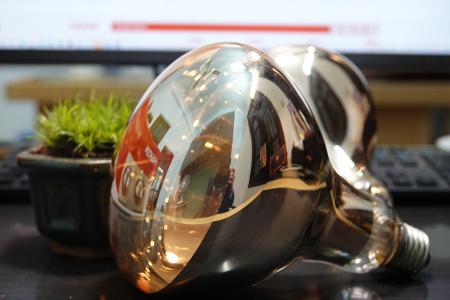 Đfn sưởi nhà tắm 2 bóng HAKEN Model HK-DS222