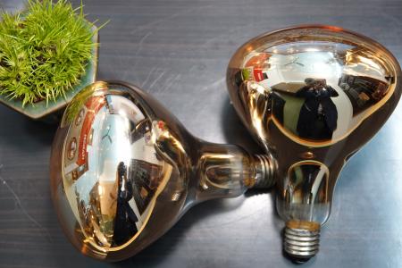 Đfn sưởi nhà tắm 2 bóng HAKEN Model HK-DS222